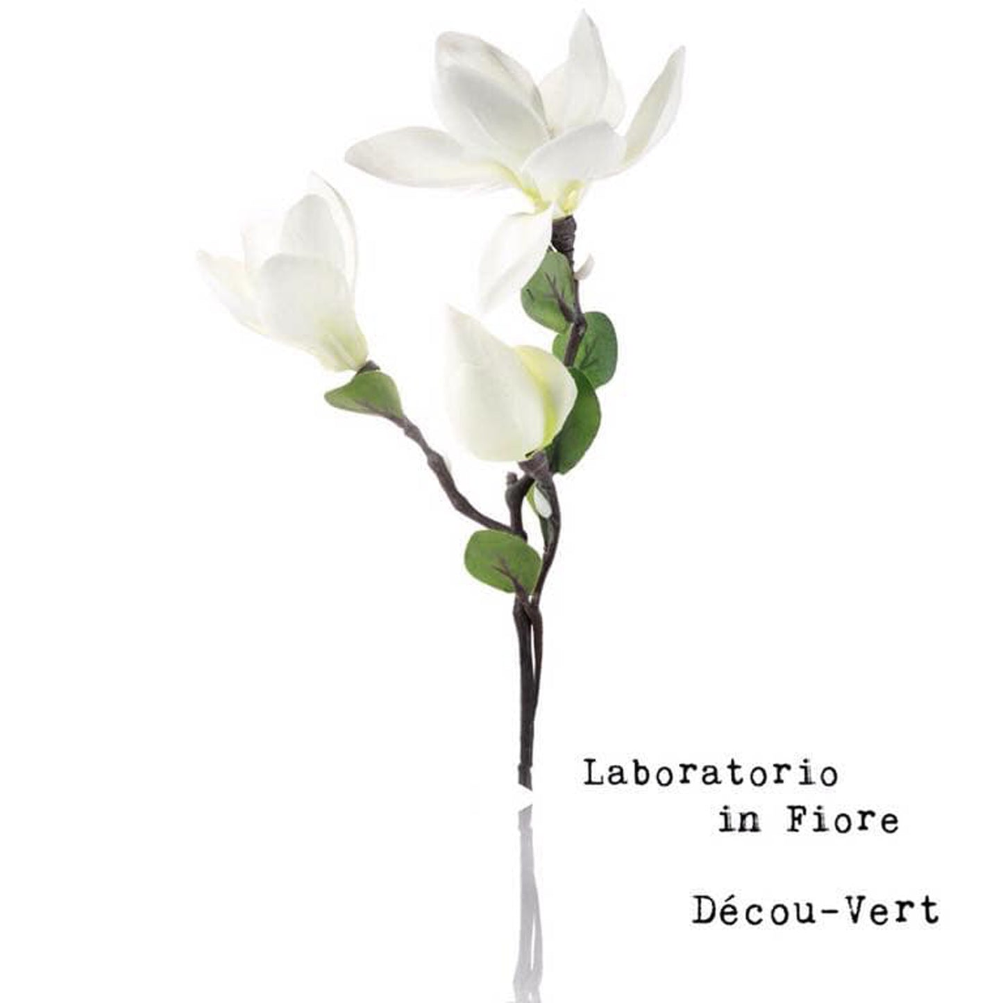 Décou-Vert