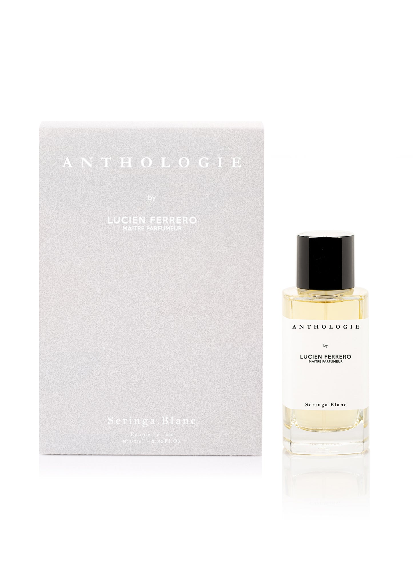 Seringa Blanc