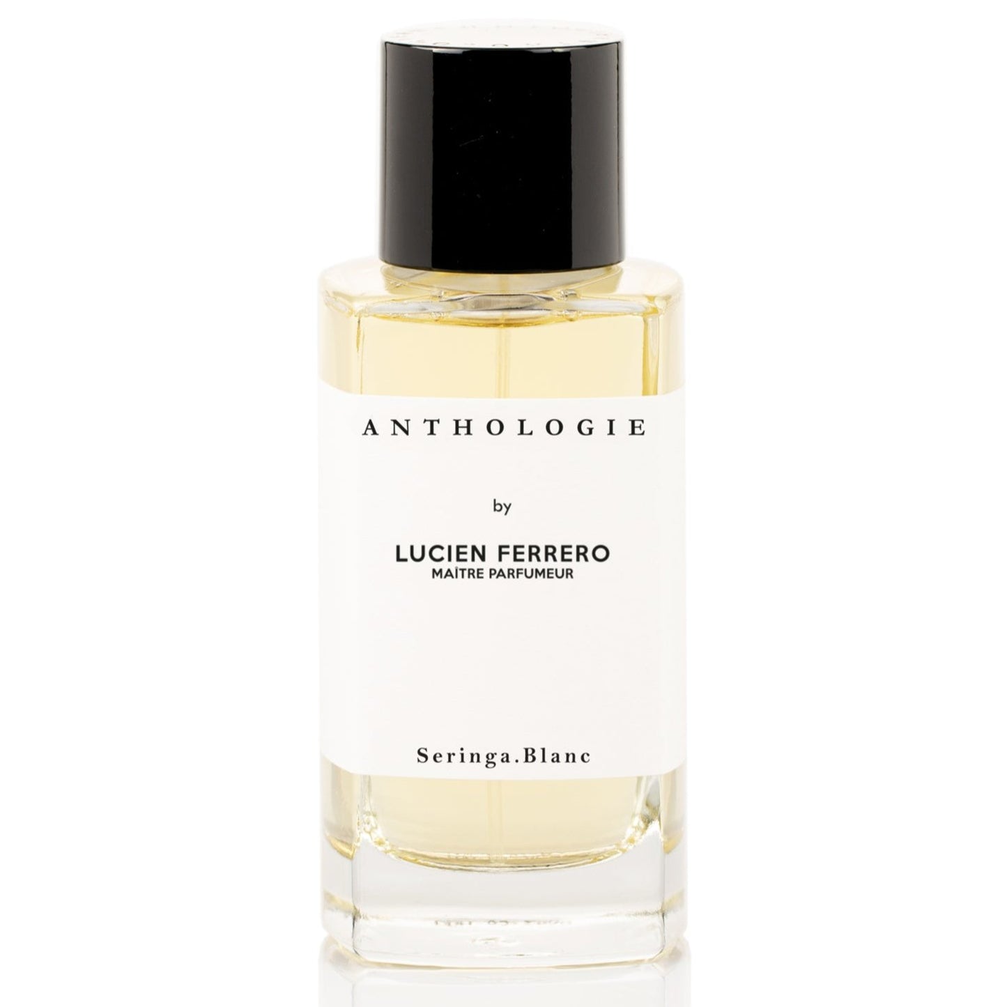 Seringa Blanc