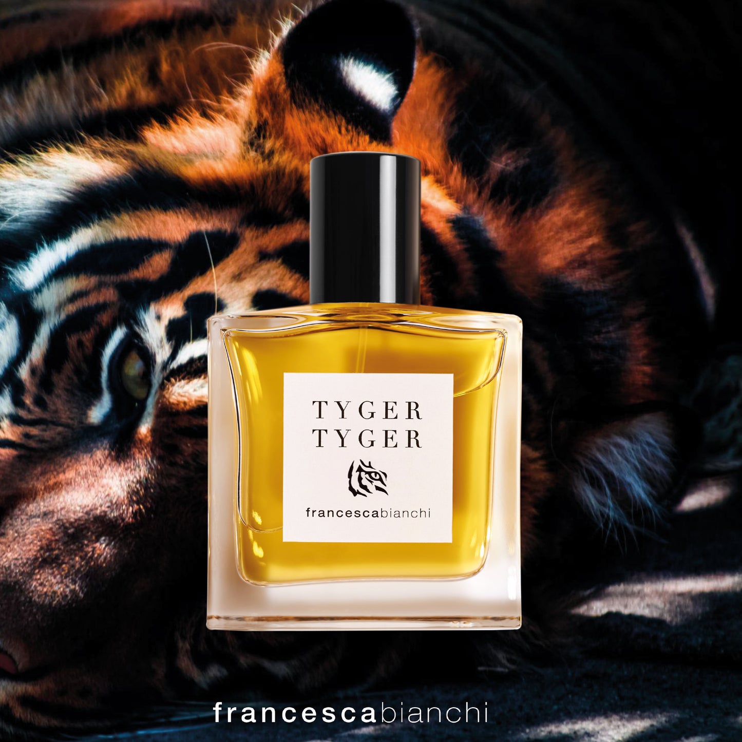 Tyger Tyger