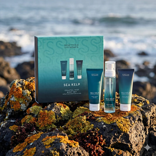 Set COASTAL MIST - SEA KELP