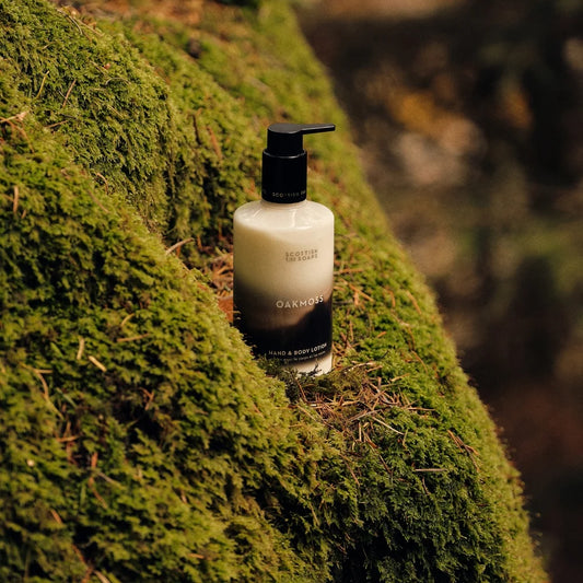 Hand & body lotion - OAKMOSS