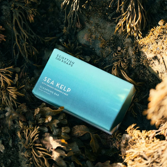 Cleansing bar - SEA KELP
